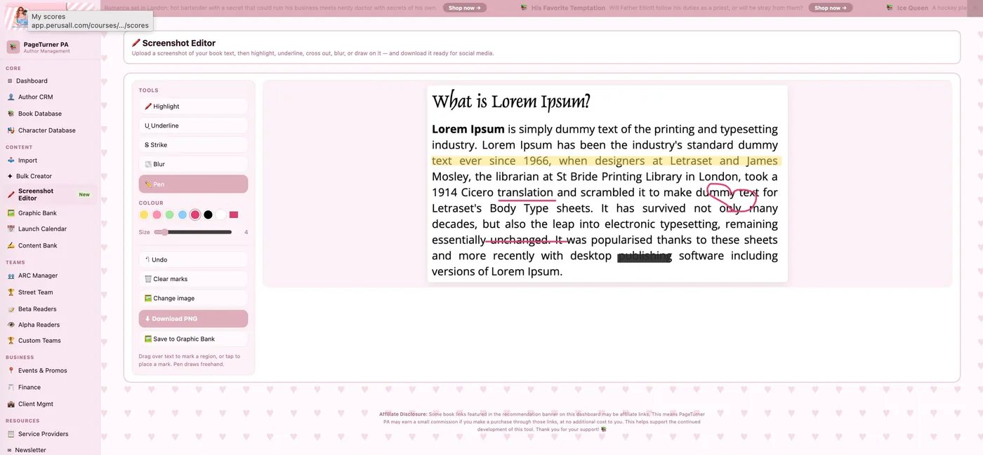PageTurner PA screenshot editor