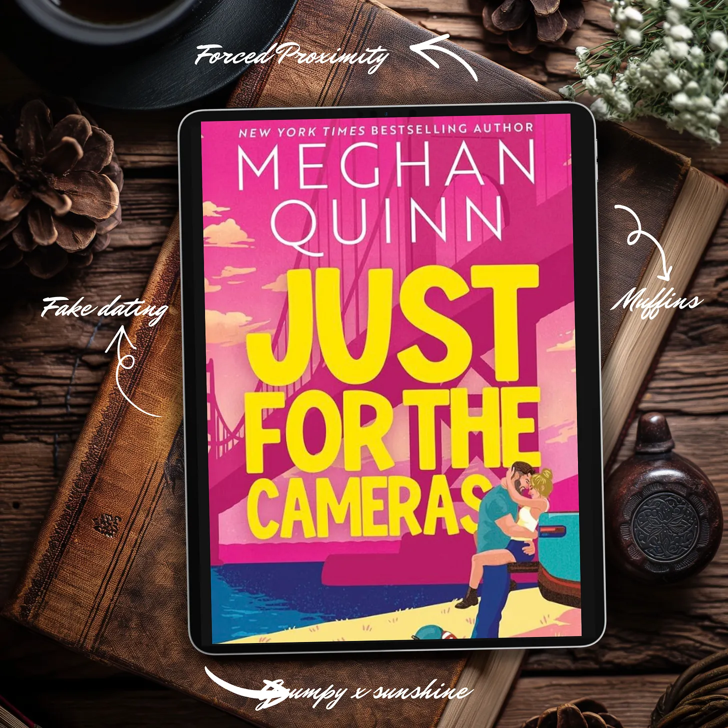 Just for the Cameras by Meghan Quinn